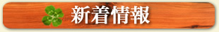 新着情報